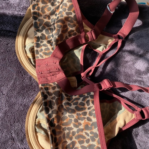 Brand New Elomi Leopard Bra - Picture 5 of 5